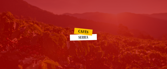 Com afecta l’altitud al cafè?