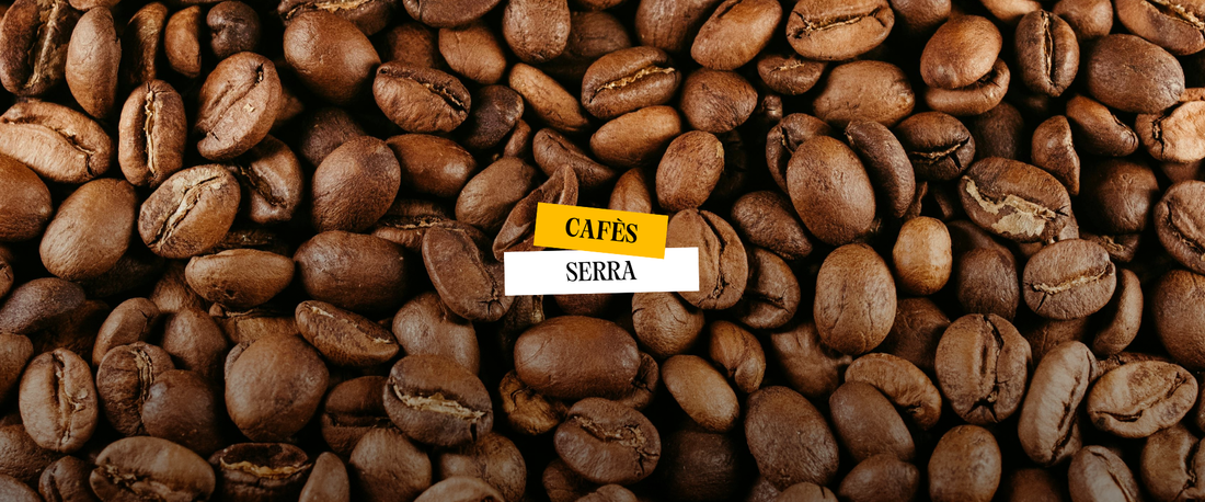L’error més habitual quan es torra cafè (i gairebé ningú t’ho explica)