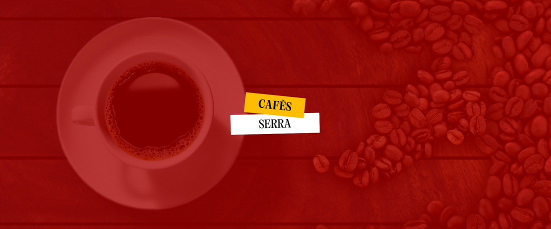 Què és la fermentació del cafè (i per què en parlem tant)?