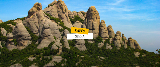 Per què li vam posar Montserrat?