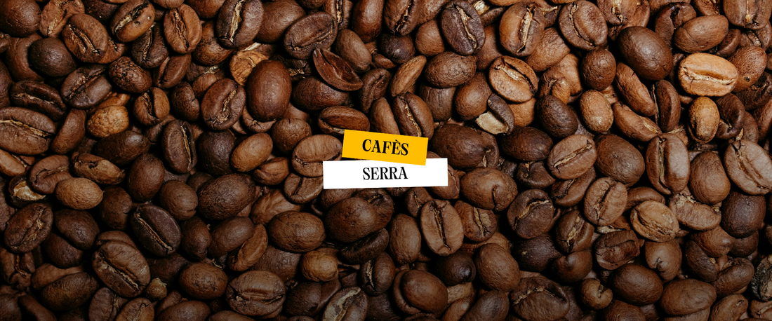 Com saber si el que has comprat és realment cafè d'especialitat?