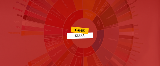 Com s’identifiquen els sabors del cafè?