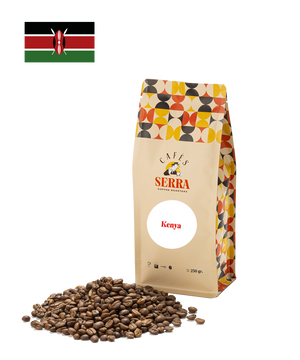 Kenya Mt - Filter Roast