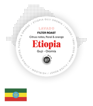 Etiopia Guji Oromia - Filter Roast