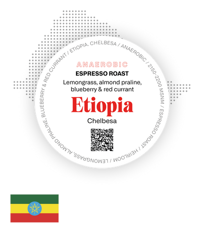 Etiopia Anaerobic Chelbesa - Espresso Roast