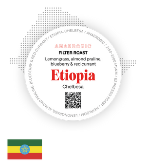 Etiopia Anaerobic Chelbesa - Filter Roast