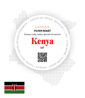 Kenia Mt - Filter Roast